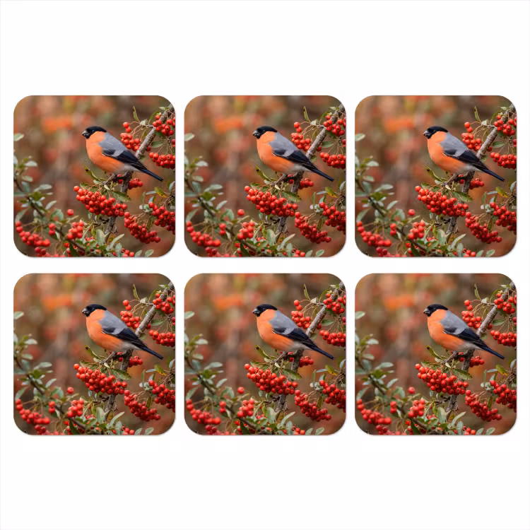 Goudvink - Bessen - Herfst - Natuur - Kleurrijk onderzetter kurk middel -3d