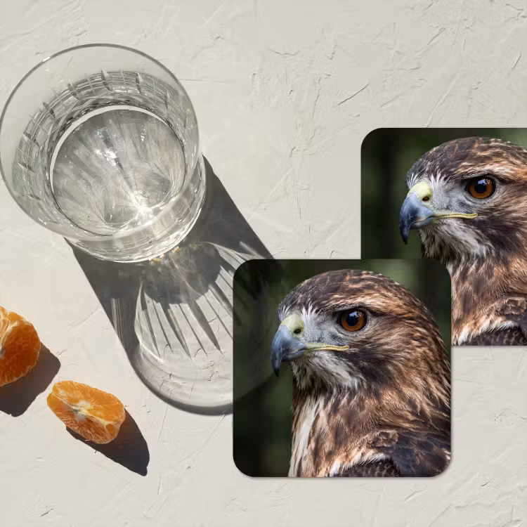 Buizerd - Roofvogel - Natuur - Bruin onderzetter kurk middel -sfeer4