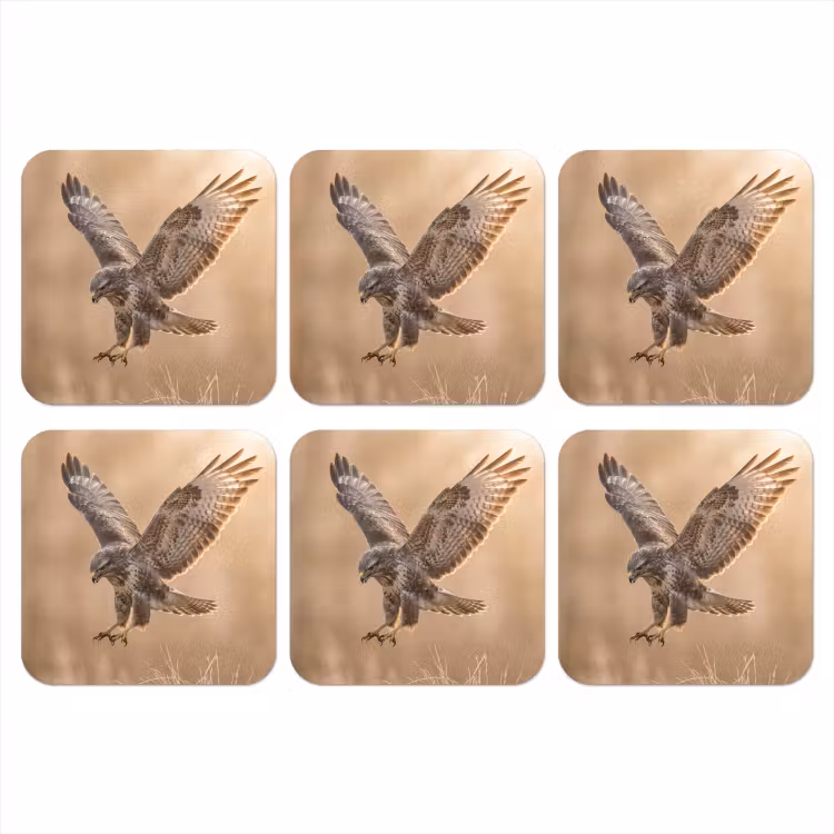 Buizerd - Roofvogel - Natuur - Bruin onderzetter kurk middel -3d
