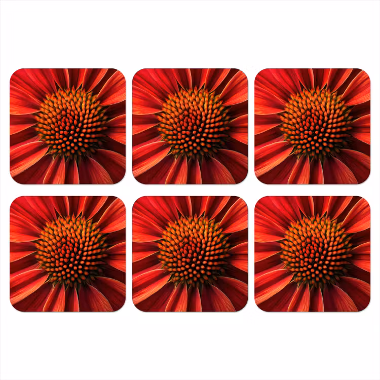 Close up - Bloem- Rood onderzetter kurk middel -3d