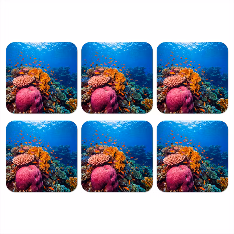 Koraal - Vissen - Oceaan - Natuur - Kleurrijk onderzetter kurk middel -3d
