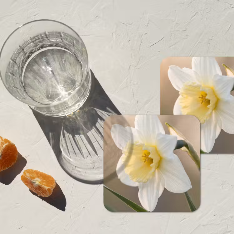 Narcis - Bloem - Minimalistisch onderzetter kurk middel -sfeer4