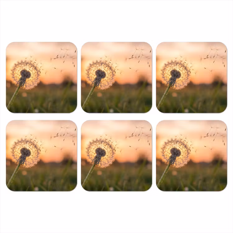Paardenbloem - Zonsondergang - Veld onderzetter kurk middel -3d