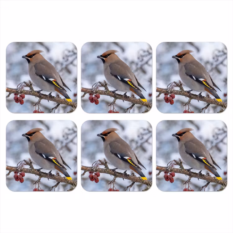 Pestvogel - Bessen - Winter - Natuur onderzetter kurk middel -3d