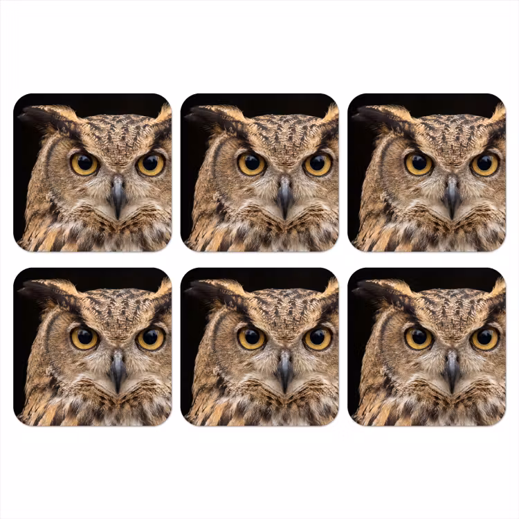 Oehoe - Uil - Portret - Bruin onderzetter kurk middel -3d