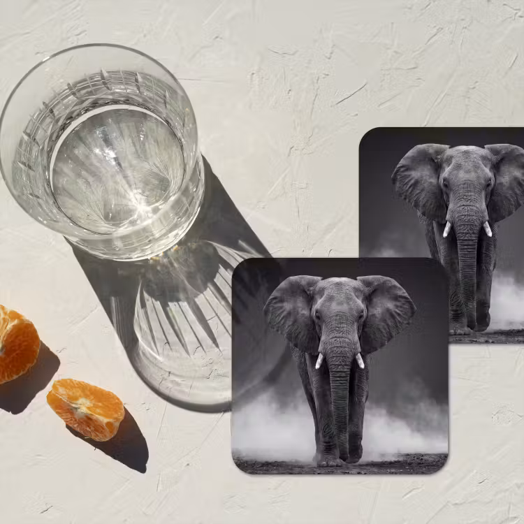 Olifant - Zwart - Wit - Rook onderzetter kurk middel -sfeer4