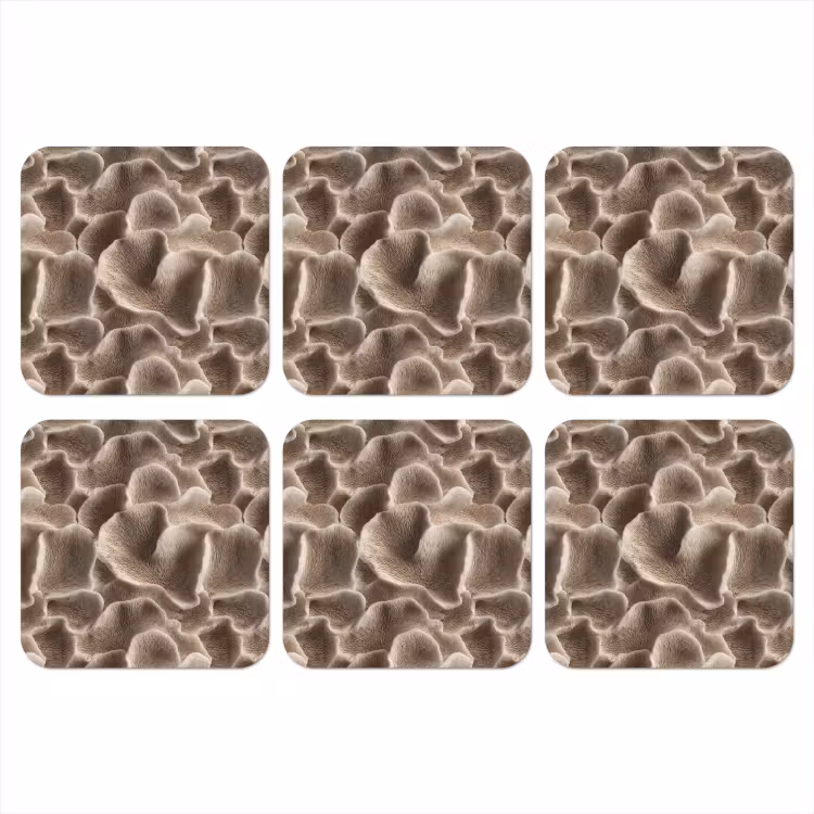 Waaiervorm - Beige - Vezel textuur onderzetter kurk middel 366 -3d