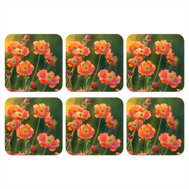 Bloemenveld - Zonnestralen - Oranje onderzetter kurk middel -3d