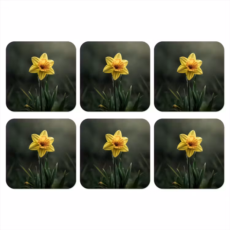 Bloem - Narcis - Gras - Geel onderzetter kurk middel -3d
