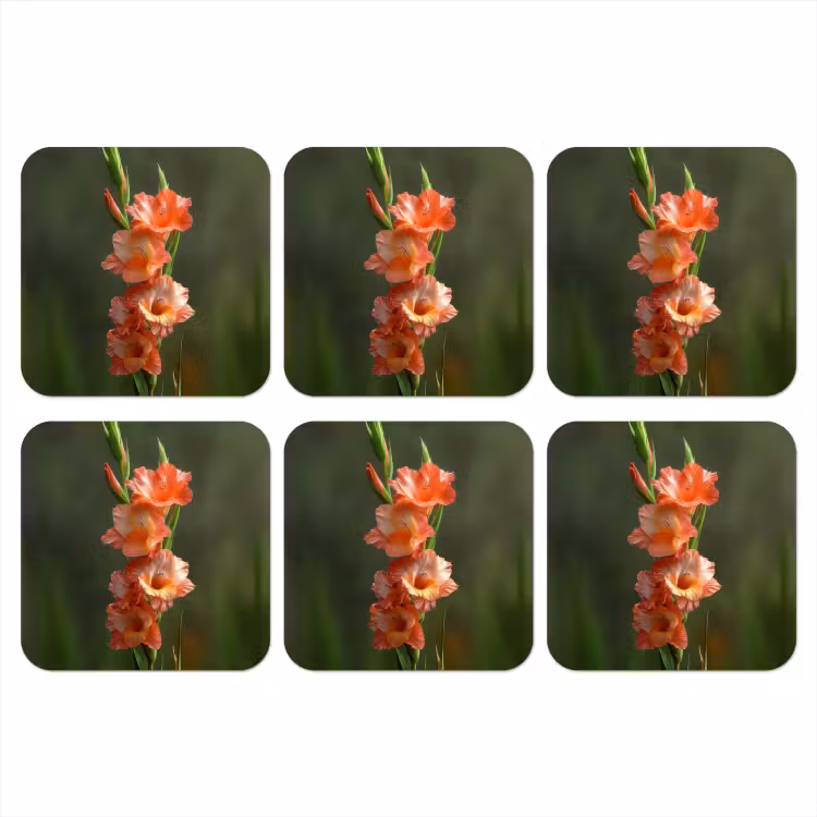 Bloem - Gladiolen - Zalmroze onderzetter kurk middel -3d