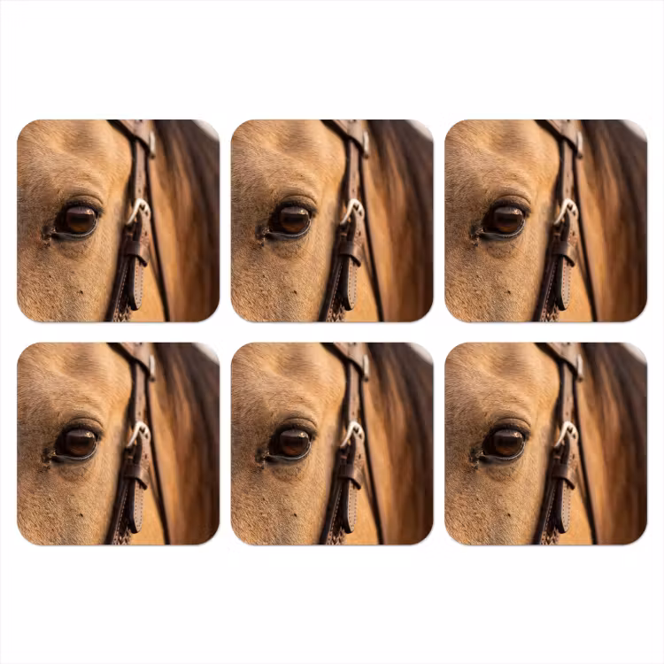 Paard - Oog - Bruin onderzetter kurk middel -3d