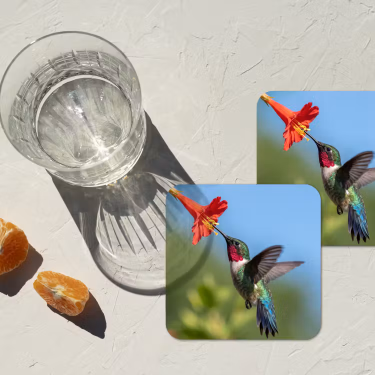 Kolibrie - Bloem - Natuur - Groen onderzetter kurk middel -sfeer4