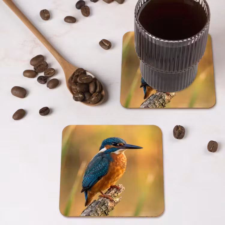 IJsvogel - Tak - Water - Kleurrijk - Levendig onderzetter kurk middel -sfeer2