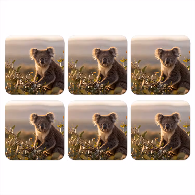 Koala - Bladeren - Ochtendlicht onderzetter kurk middel -3d