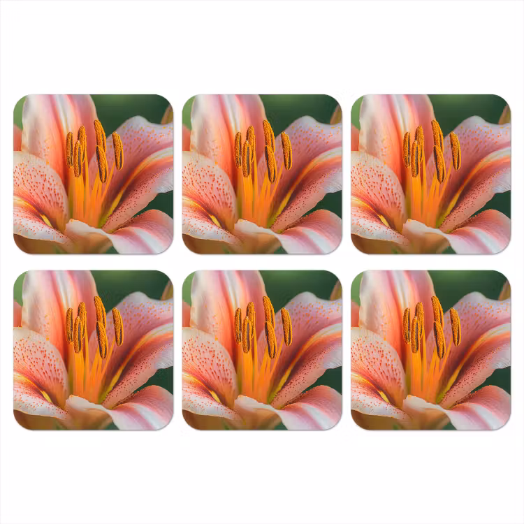 Lelie - Close up - Lichtroze onderzetter kurk middel -3d