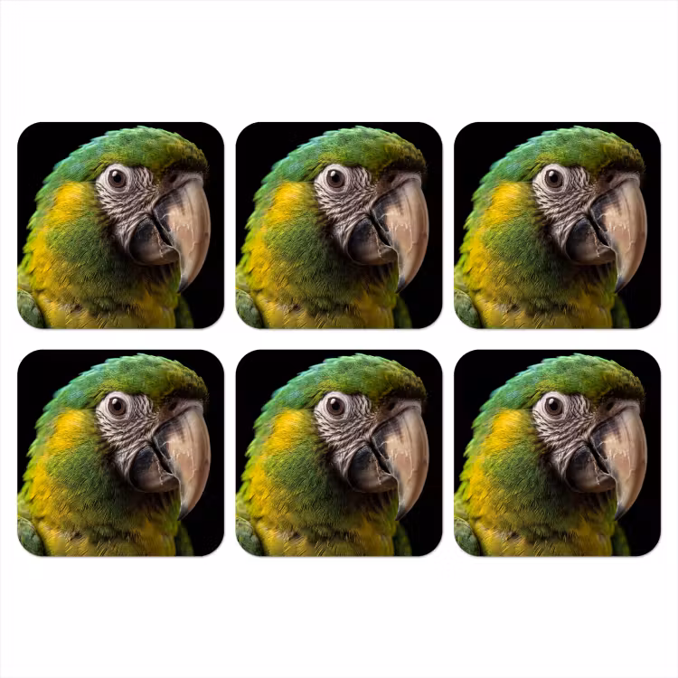 Ara - Portret - Groen onderzetter kurk middel -3d