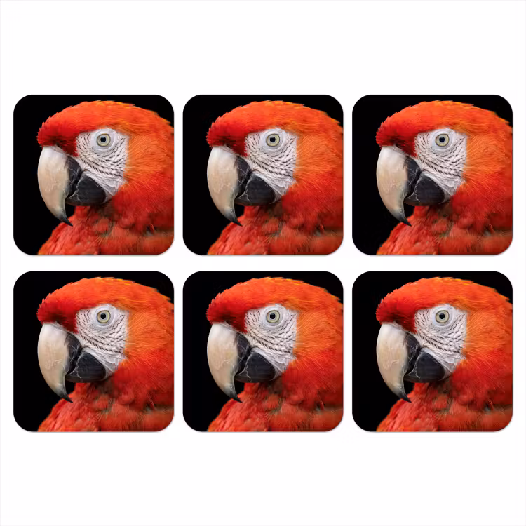 Ara - Portret - Rood onderzetter kurk middel -3d