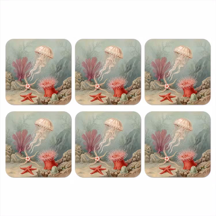 Zeeleven - Kwal - Onderwater - Illustratie - Beige onderzetter kurk middel -3d