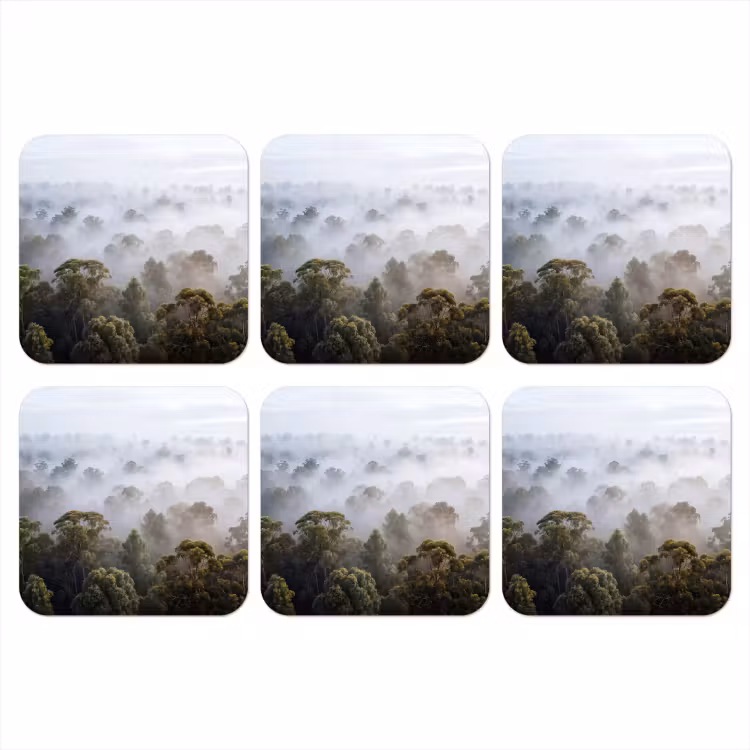 Natuur - Mist - Bos - Ochtend - Goud onderzetter kurk middel -3d