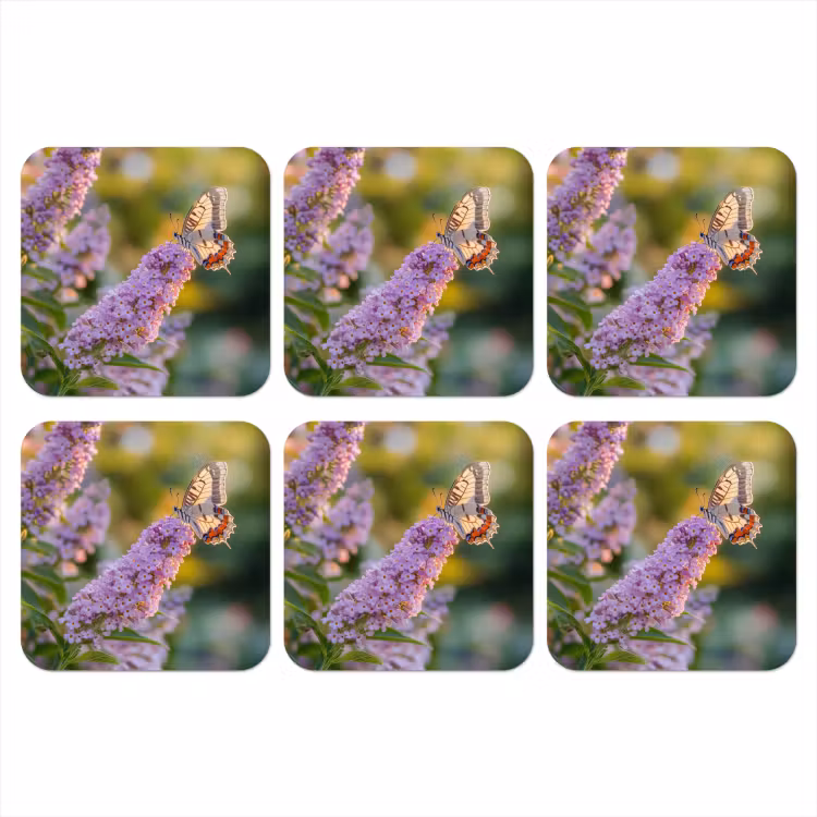 Sierlijke - Vlinder - Paarse - Bloemen onderzetter kurk middel -3d