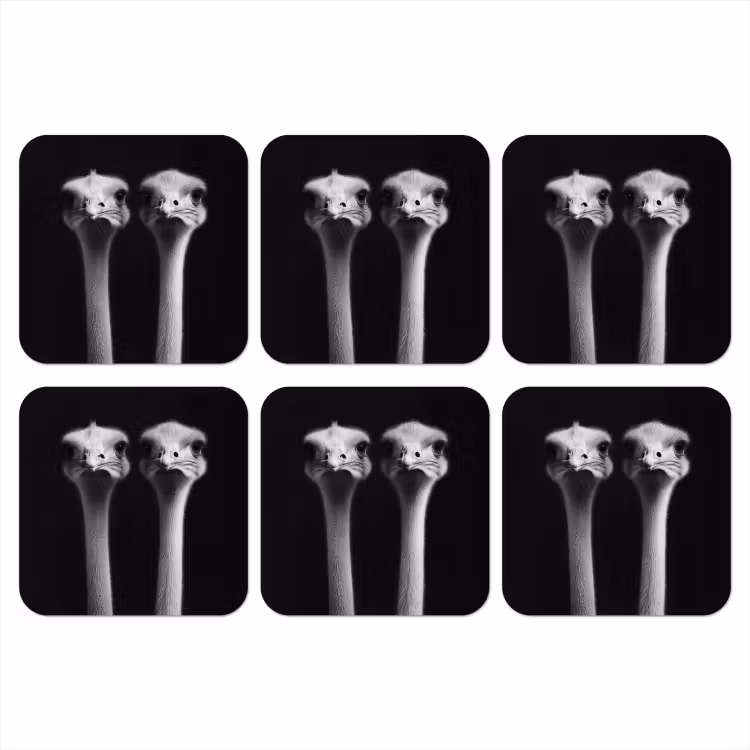 Struisvogels - Halzen - Zwart - Minimalistisch onderzetter kurk middel -3d