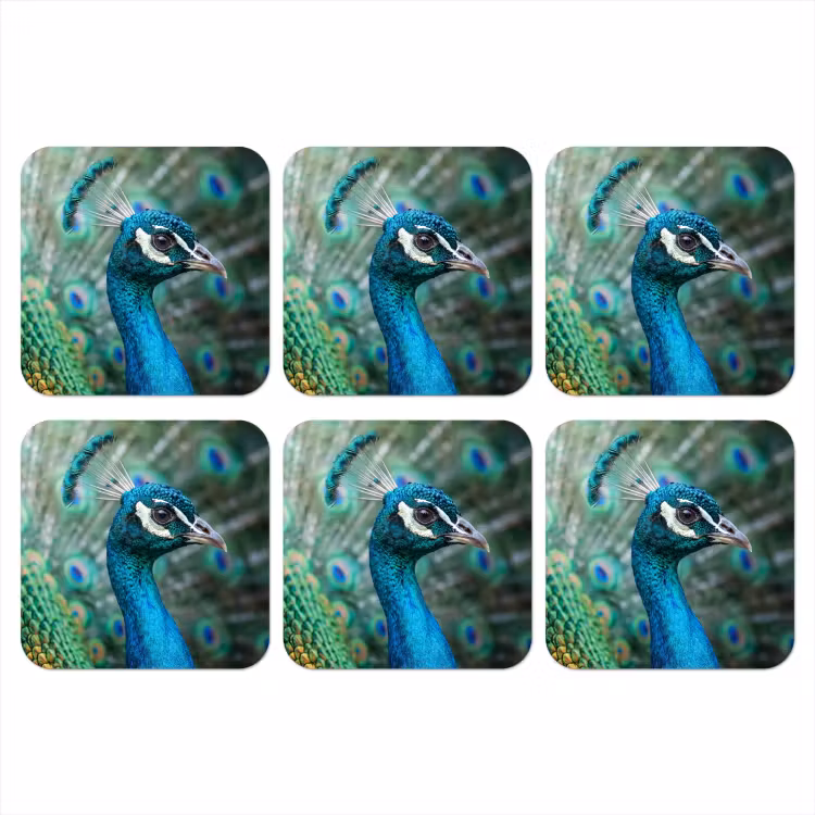 Pauw - Veren - Blauw onderzetter kurk middel -3d