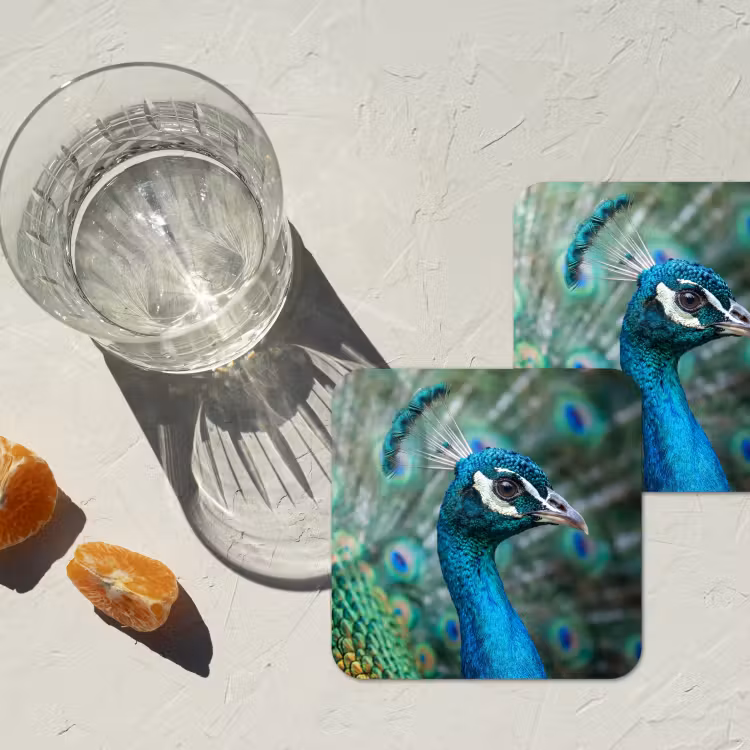 Pauw - Veren - Blauw onderzetter kurk middel -sfeer4