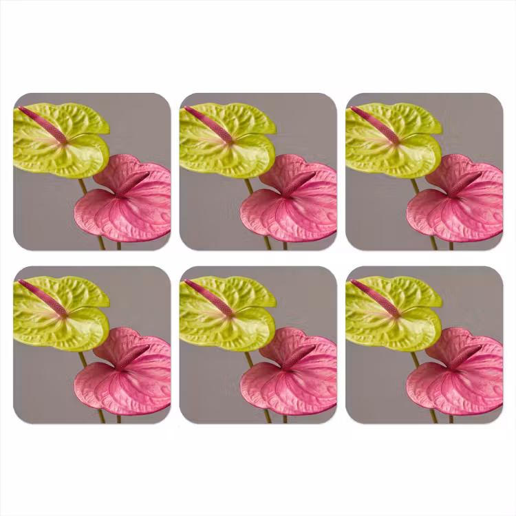 Planten - Anthurium - Groen - Roze onderzetter kurk middel -3d