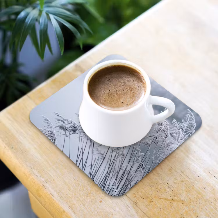 Riet - Bevroren - Winter - Natuur onderzetter kurk middel -sfeer5
