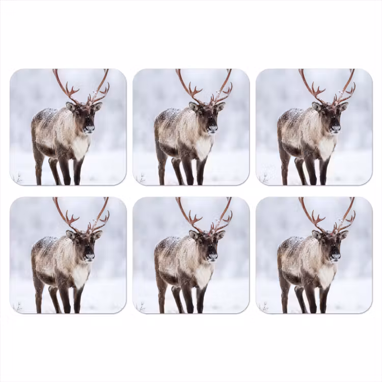 Rendier - Gewei - Toendra - Sneeuw - Wild onderzetter kurk middel -3d