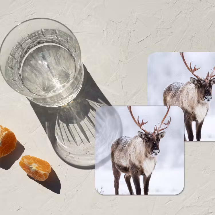 Rendier - Gewei - Toendra - Sneeuw - Wild onderzetter kurk middel -sfeer4