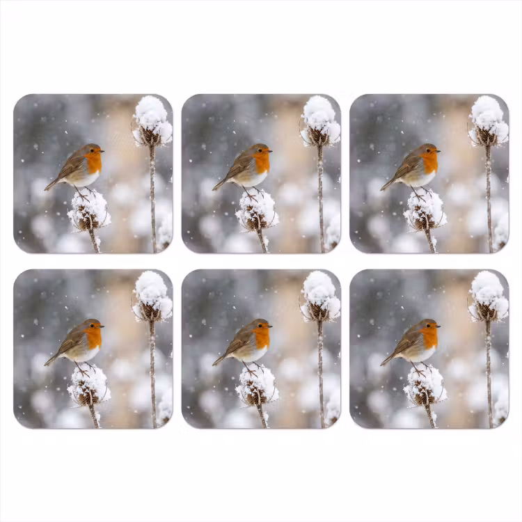 Roodborstje - Gedroogde bloem - Sneeuw - Winter - Vertederend onderzetter kurk middel -3d