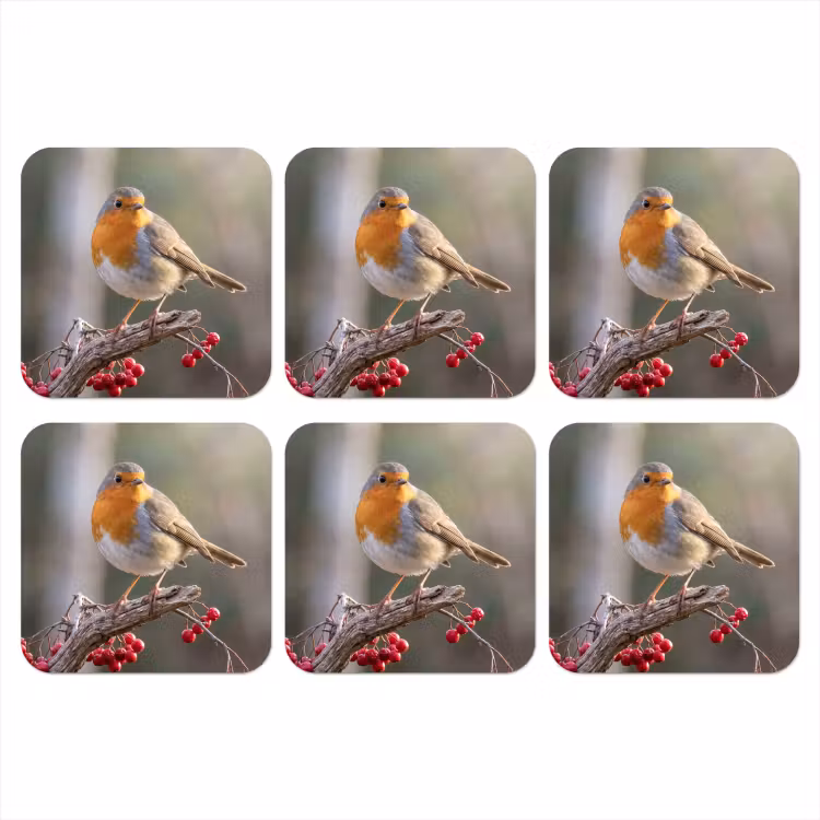 Roodborst - Tak - Bessen - Natuur onderzetter kurk middel -3d