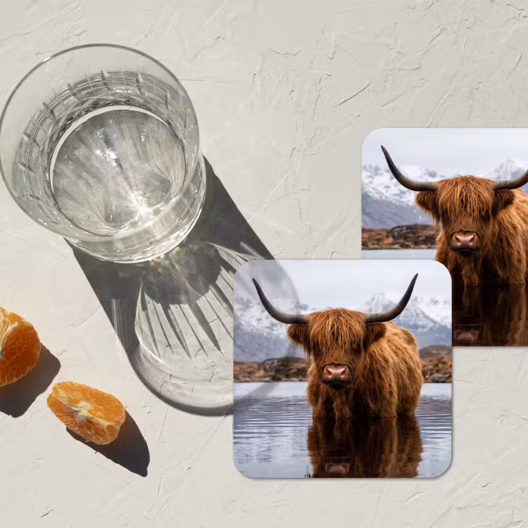Schotse hooglander - Bruin - Water onderzetter kurk middel -sfeer4