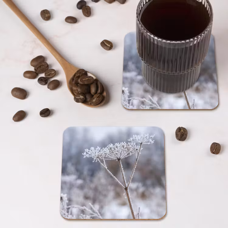 Schermbloem - Rijp - Kristallen - Winter - Delicaat onderzetter kurk middel -sfeer2