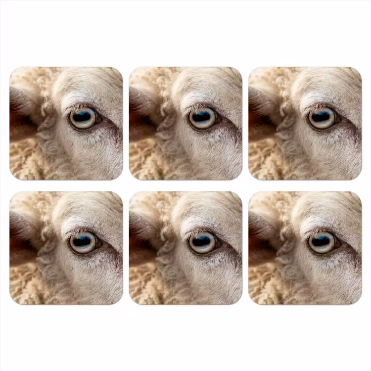 Schaap - Oog - Wit onderzetter kurk middel -3d