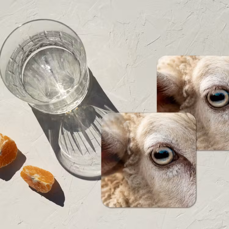 Schaap - Oog - Wit onderzetter kurk middel -sfeer4