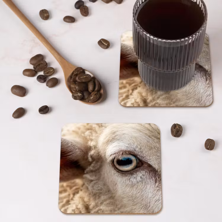 Schaap - Oog - Wit onderzetter kurk middel -sfeer2