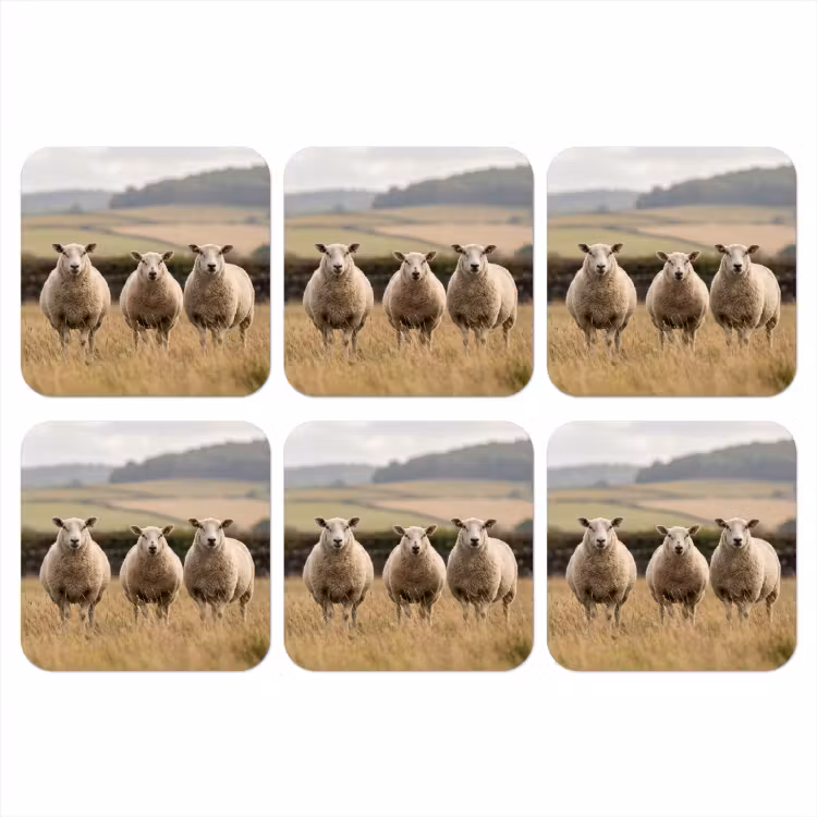 Schapen - Weidenlandschap - Heuvels onderzetter kurk middel -3d