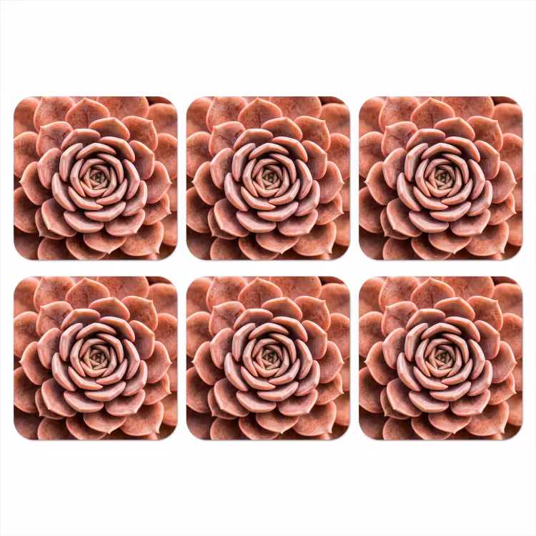 Vetplant - Organisch - Roze onderzetter kurk middel -3d