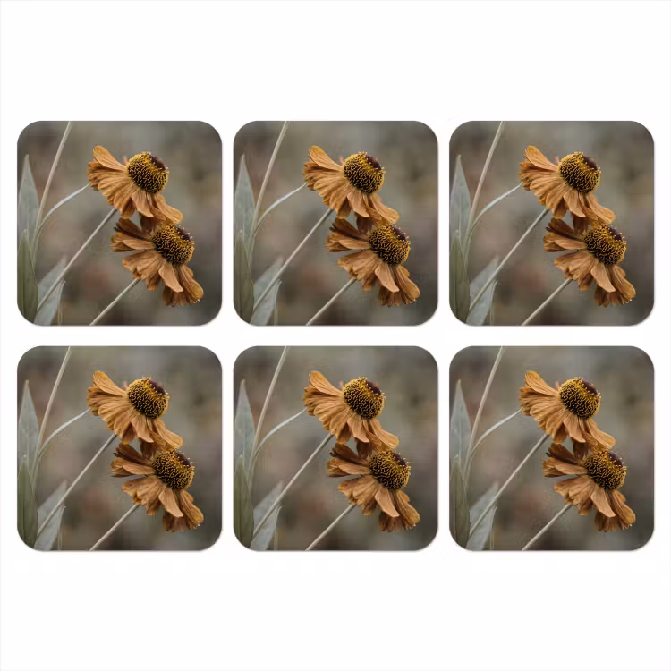 Zonnehoed - Droogbloemen - Geel - Warm onderzetter kurk middel -3d
