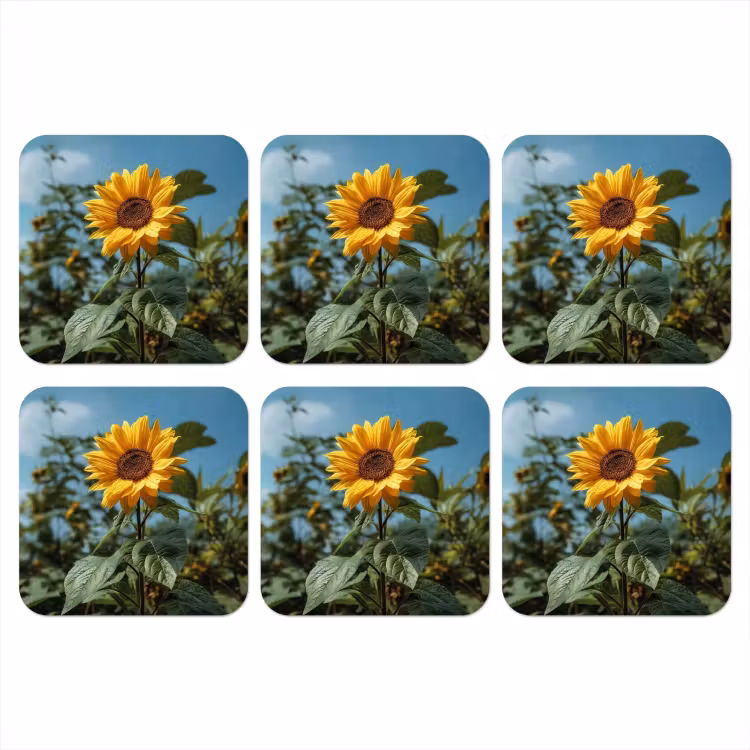 Zonnebloemen - Helderblauwer lucht - Gras onderzetter kurk middel -3d