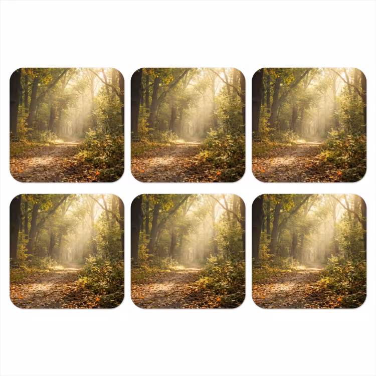 Zonlicht - Bospad - Bomen onderzetter kurk middel -3d