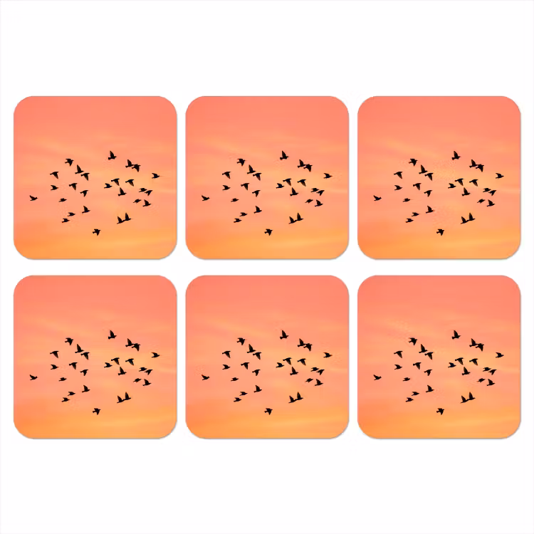 Zwerm - Vogels - Oranje onderzetter kurk middel -3d