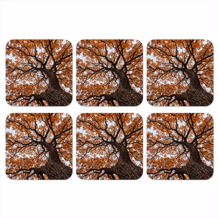 Boom - Bladerdak - Herfst - Oranje - Sfeervol onderzetter kurk middel -3d