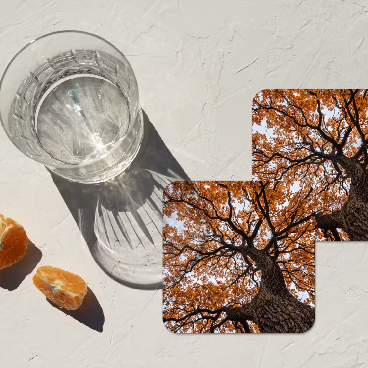 Boom - Bladerdak - Herfst - Oranje - Sfeervol onderzetter kurk middel -sfeer4