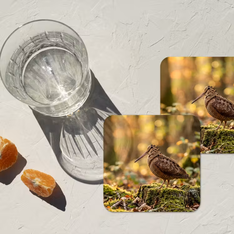 Houtsnip - Bos - Bladeren - Herfst - Gecamoufleerd onderzetter kurk middel -sfeer4