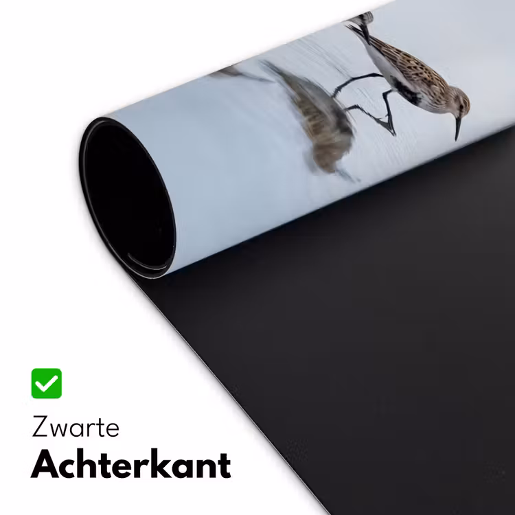 Vogels - Water - Grijs Muismat XXL klein -sfeer2