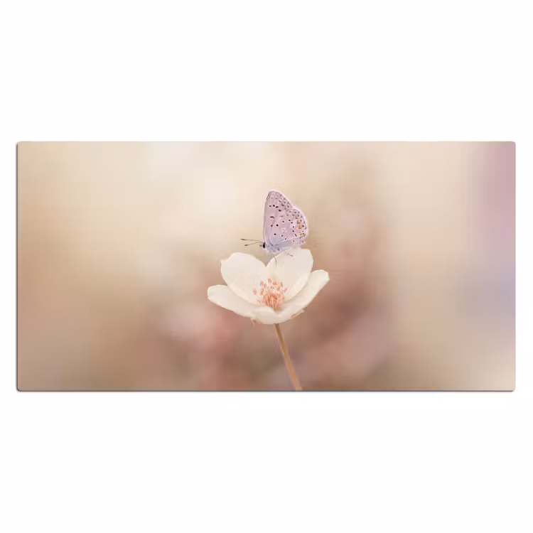 Vlinder - Bloem - Blauw Muismat XXL klein -3d_leeg