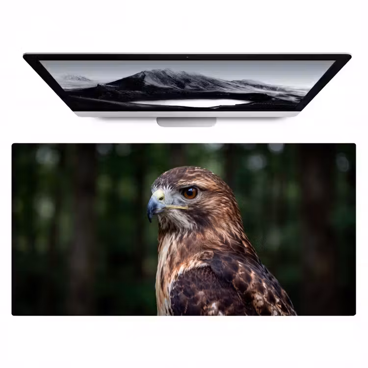 Buizerd - Roofvogel - Natuur - Bruin Muismat XXL klein -zzz3d